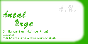 antal urge business card